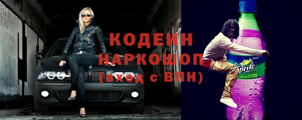 спиды Богородицк