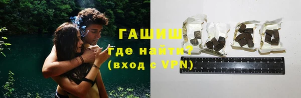 спиды Богородицк