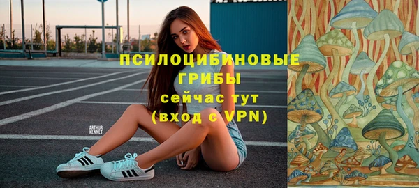 индика Белоозёрский