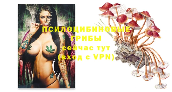 каннабис Богданович