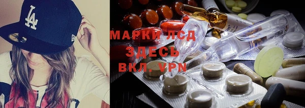индика Белоозёрский